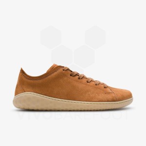 Vivobarefoot Geo Court III ライフスタイルシューズ レディース ブラウン | JP292GY