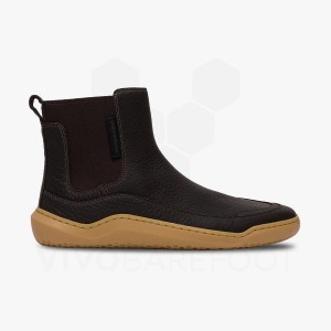 Vivobarefoot Gobi Chelsea ライフスタイルシューズ レディース 黒 | JP287LQ