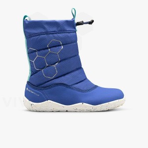 Vivobarefoot Lumi X Arctic Angels シューズ キッズ 青 | JP423FU