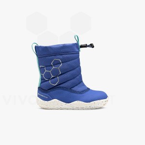 Vivobarefoot Lumi X Arctic Angels 幼児 シューズ キッズ 青 | JP422GY