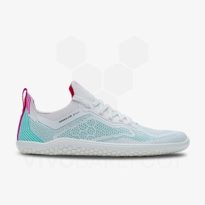 Vivobarefoot Primus Lite Knit トレーニングシューズ メンズ 青 | JP098SZ