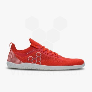 Vivobarefoot Primus Lite Knit トレーニングシューズ メンズ 赤 | JP100QC