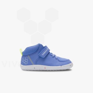 Vivobarefoot Primus Ludo Hi Preschool シューズ キッズ 青 | JP409TL