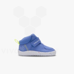 Vivobarefoot Primus Ludo Hi 幼児 シューズ キッズ 青 | JP407VJ