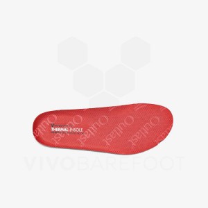 Vivobarefoot Thermal Insole Juniors インソール キッズ 赤 | JP438QC