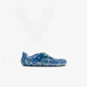 Vivobarefoot Ultra Bloom Preschool シューズ キッズ 青 ライトターコイズ | JP390MM